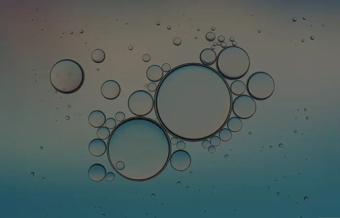 VBC december TL blog-banner